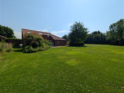 Picture 29